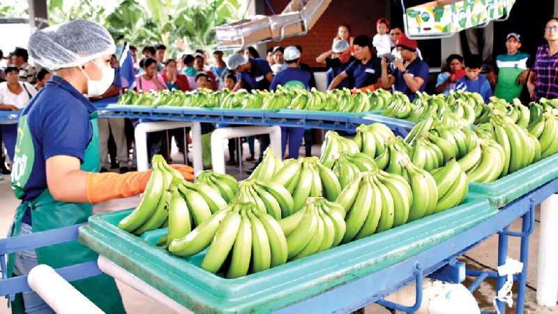 La Argentina empezó a pagar deudas y los bolivianos liberan sus cargamentos de bananas