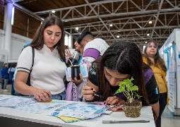 Catamarca lanza un programa de becas universitarias para potenciar el futuro ...