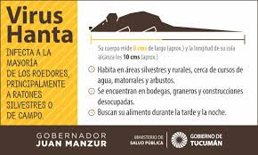 Hantavirus: el total de casos en Argentina asciende a 102