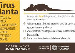 Hantavirus: el total de casos en Argentina asciende a 102
