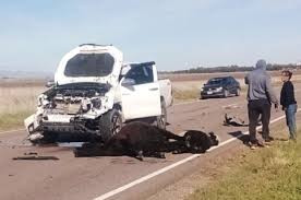 ESTADO DE RUTAS NACIONALES : ANIMALES SUELTOS EN RUTAS . CONDUCIR CON UN MEDICO DE ACOMPAÑANTE
