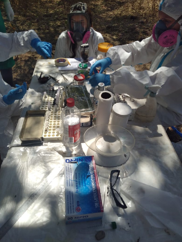 CONICET y Salud encabezan una investigación sobre Hantavirus en la provincia