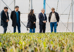 Empresa agroindustrial inaugura un vivero con tecnología de avanzada ...