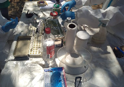 CONICET y Salud encabezan una investigación sobre Hantavirus en la provincia
